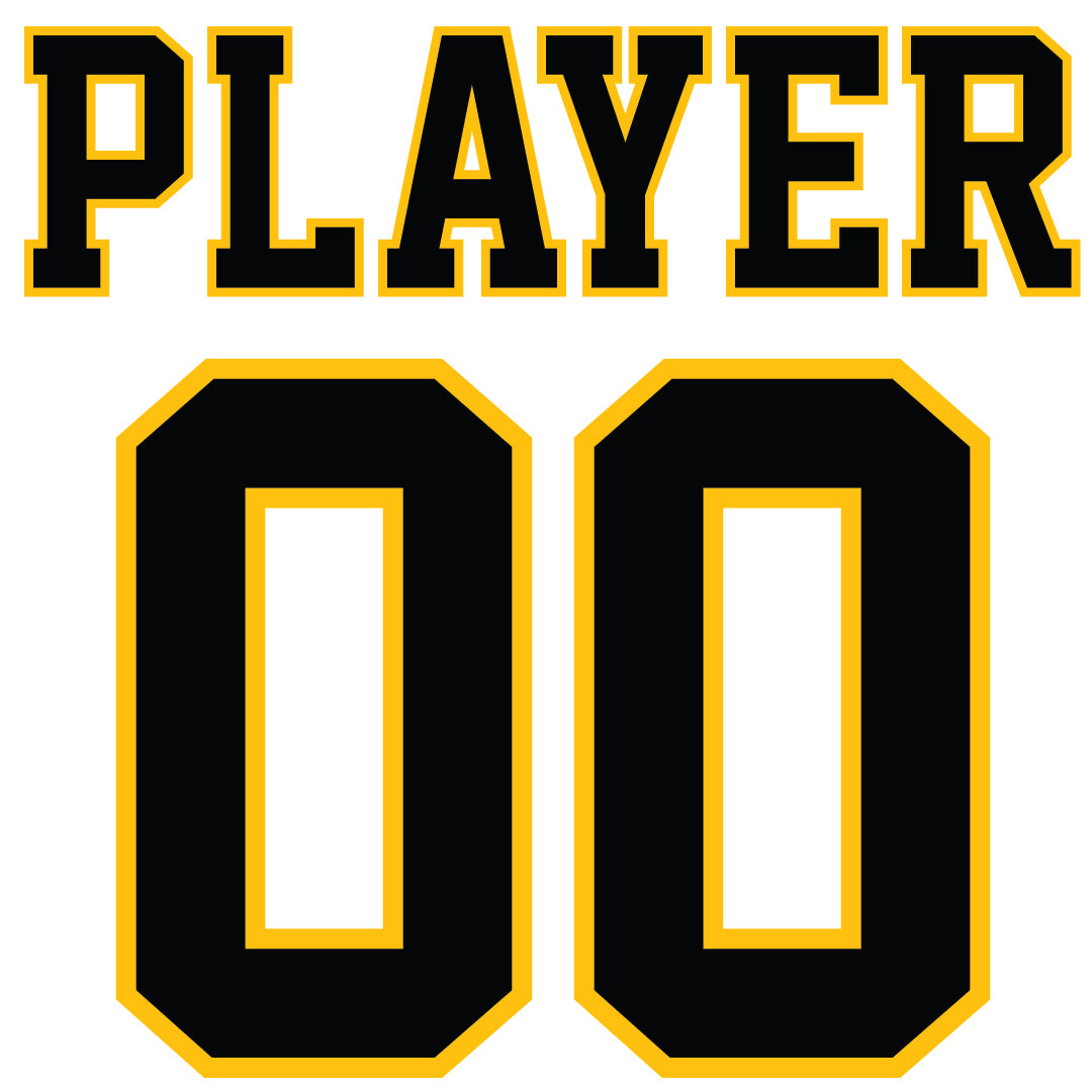 NP Steelers Arch Unisex Long Sleeve Tee 3501