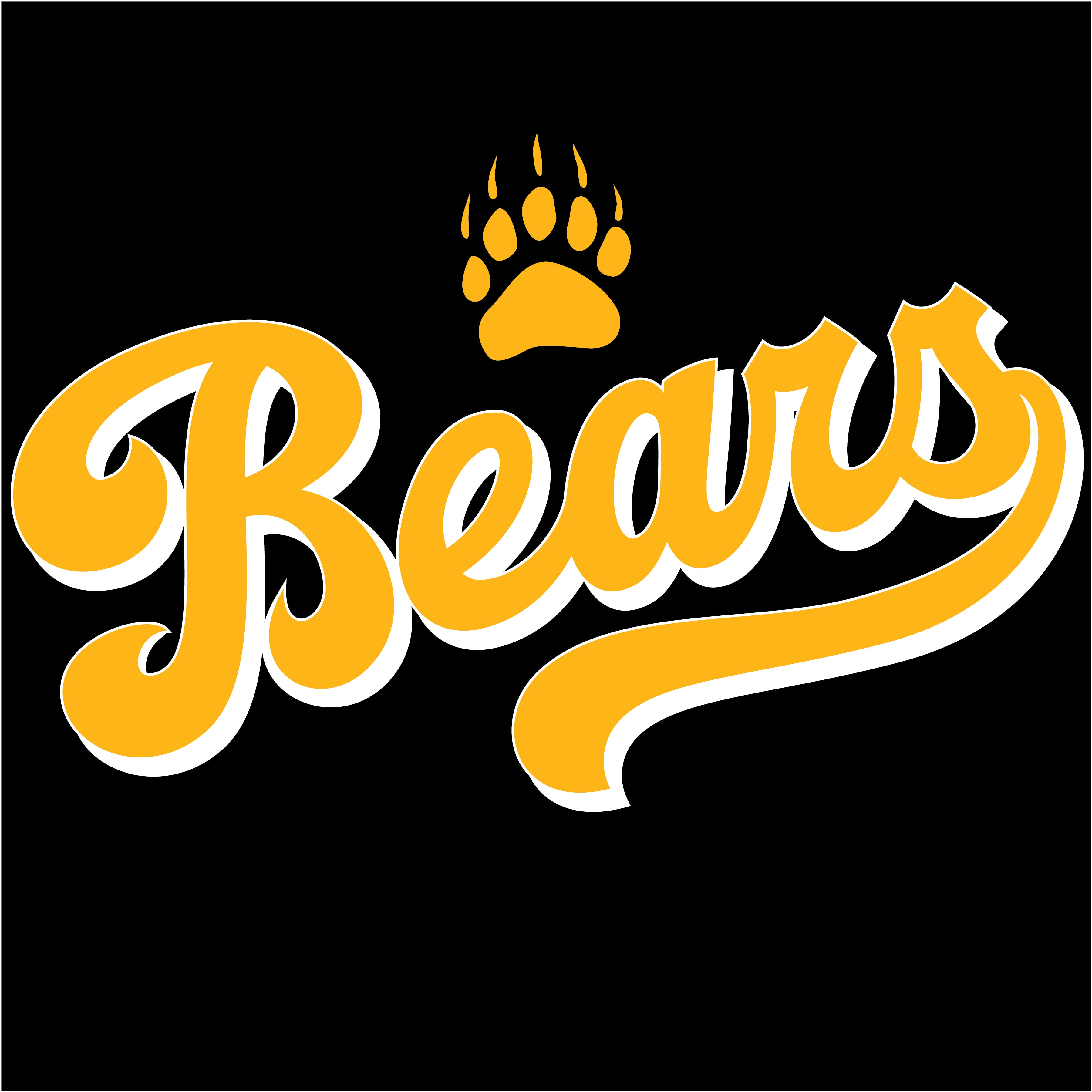 Bears Script – Merch Los Angeles