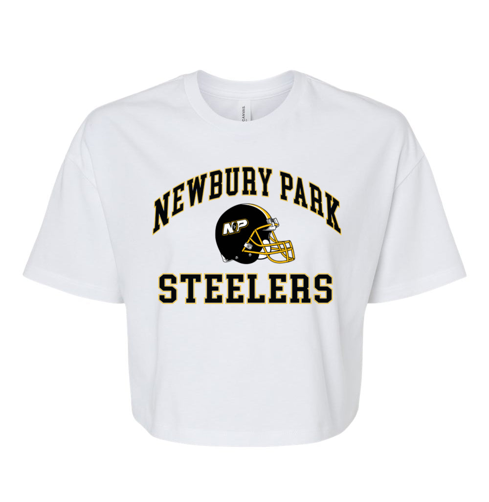 Steelers Vintage Arch Women's Crop Tee 6482