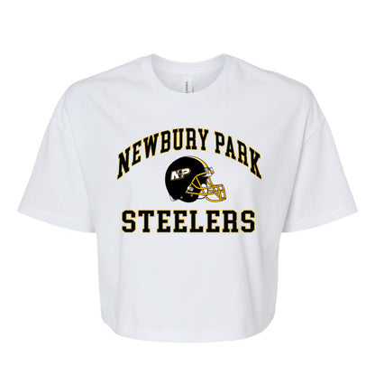 Steelers Vintage Arch Women's Crop Tee 6482