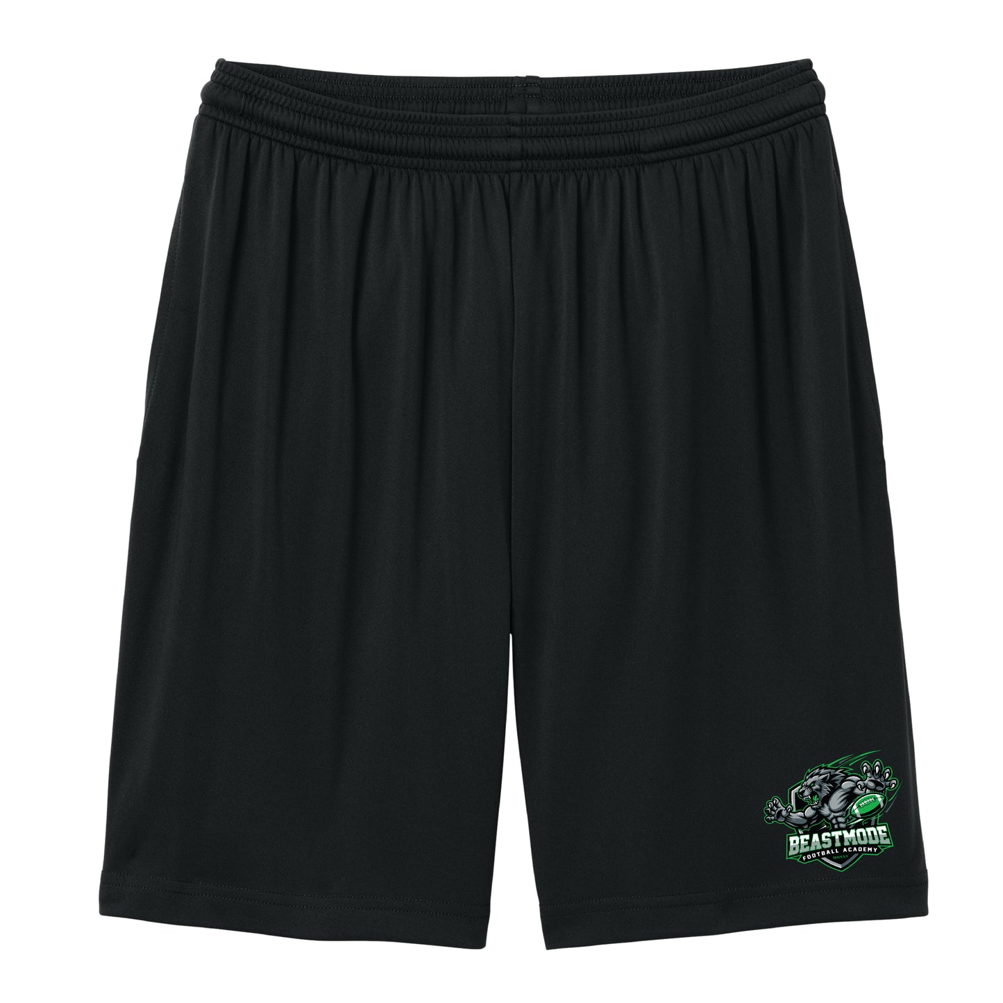 Beast Mode Football Academy Package