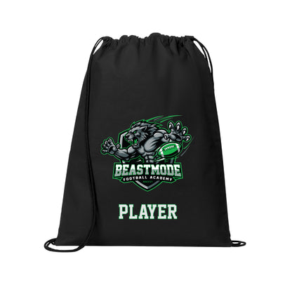 Beast Mode Football Academy Package