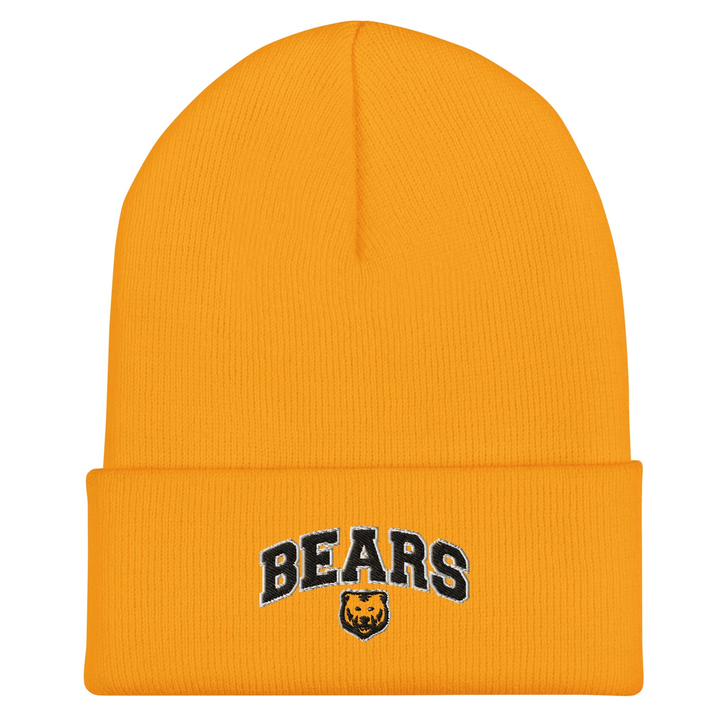 Cuffed Beanie - Arch