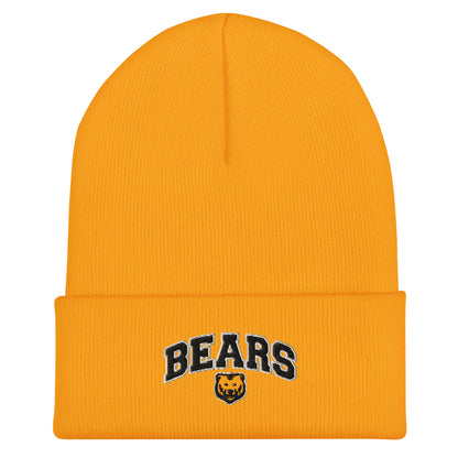 Cuffed Beanie - Arch