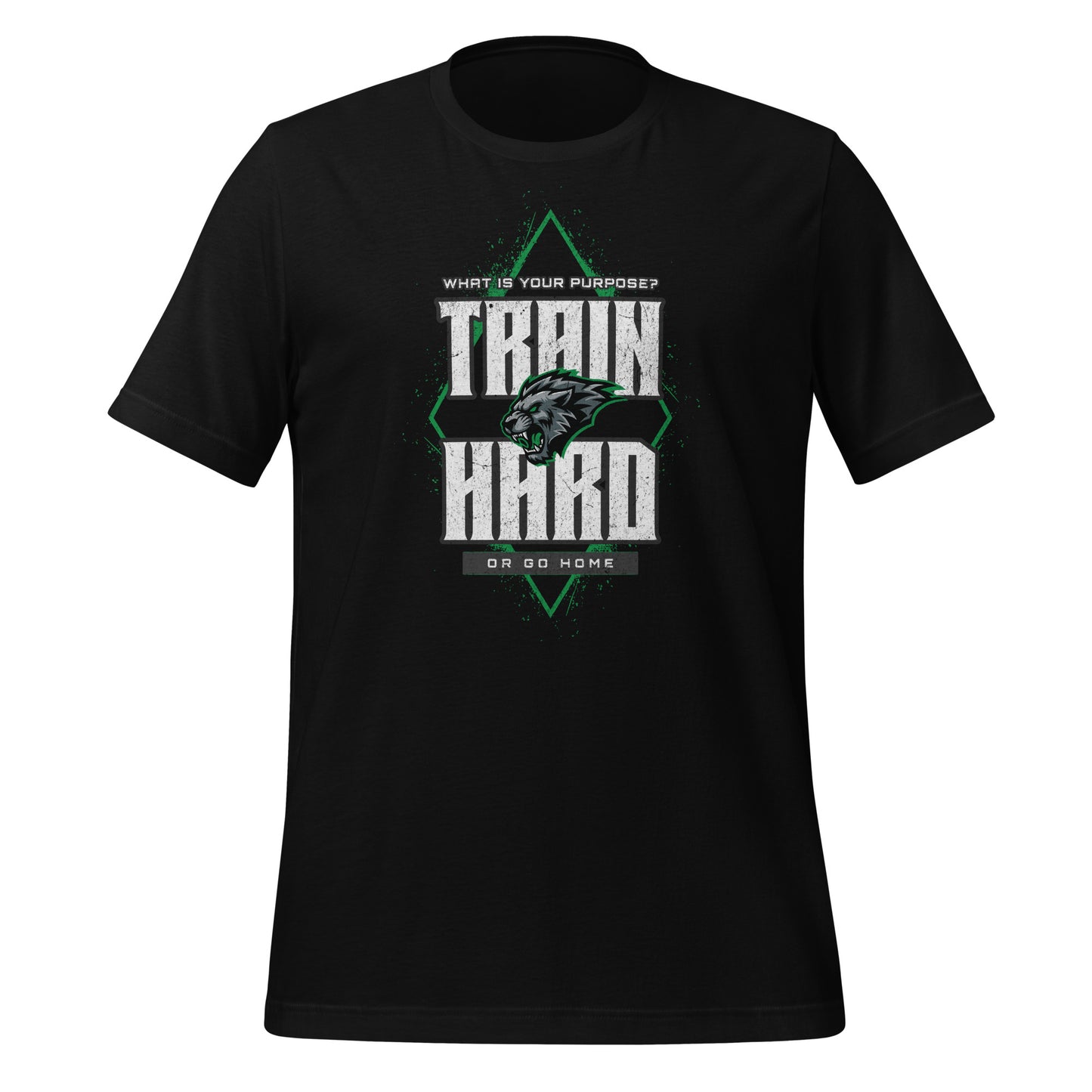 Cotton Jersey Tee 3001 - Train Hard